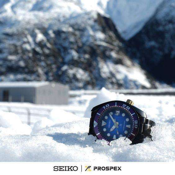ROOK JAPAN:SEIKO PROSPEX ZIMBE NO.4 SUMO AUTOMATIC MEN WATCH (1639 Limited) SPB055J,JDM Watch,Zimbe