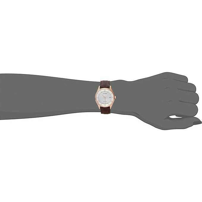 ROOK JAPAN:CITIZEN COLLECTION ECO-DRIVE RADIO SOLAR ANALOG LEATHER STRAP LADIES WATCH ES0002-06A,JDM Watch,Citizen Collection