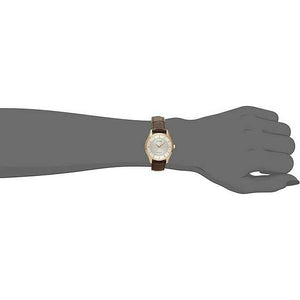ROOK JAPAN:CITIZEN COLLECTION  ECO-DRIVE BROWN LEATHER STRAP SILVER DIAL LADIES WATCH EM0402-05A,JDM Watch,Citizen Collection