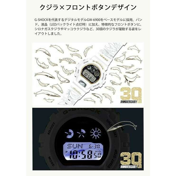 ROOK JAPAN:CASIO G-SHOCK LOVE THE SEA AND THE EARTH ICERC JAPAN COLLAB WHITE & GOLD MEN WATCH GW-6904K-7JR,JDM Watch,Casio G-Shock