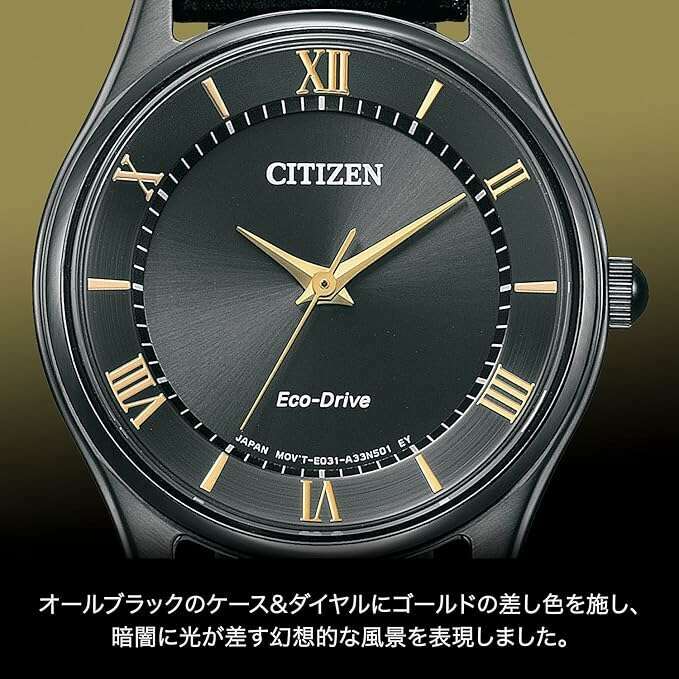ROOK JAPAN:CITIZEN COLLECTION ECO-DRIVE ANALOG ALL BLACK LEATHER STRAP LADIES WATCH EM0406-12E,JDM Watch,Citizen Collection