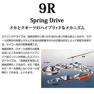 GRAND SEIKO SPRING DRIVE MEN WATCH SBGA225 - ROOK JAPAN